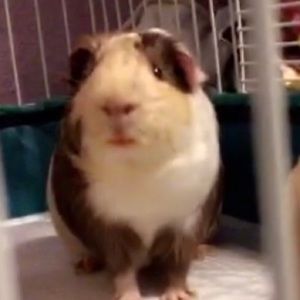 Meet your Posher, Sergio